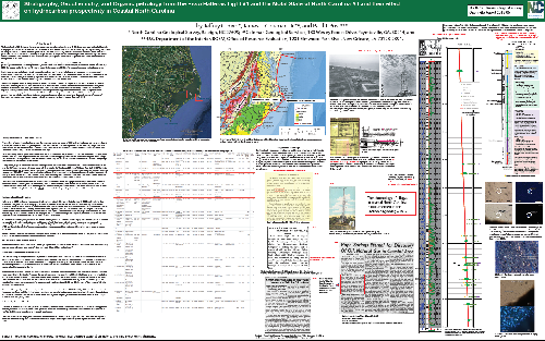 Stratigraphy, geochemistry, and organic petrology from the Esso Hatteras Light #1 and the Mobil State of North Carolina #3 and their effect on hydrocarbon prospectivity in Coastal North Carolina